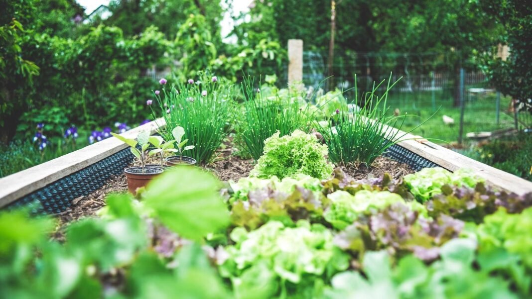 Natural Gardening: What It Is and Why You Ought to Attempt It