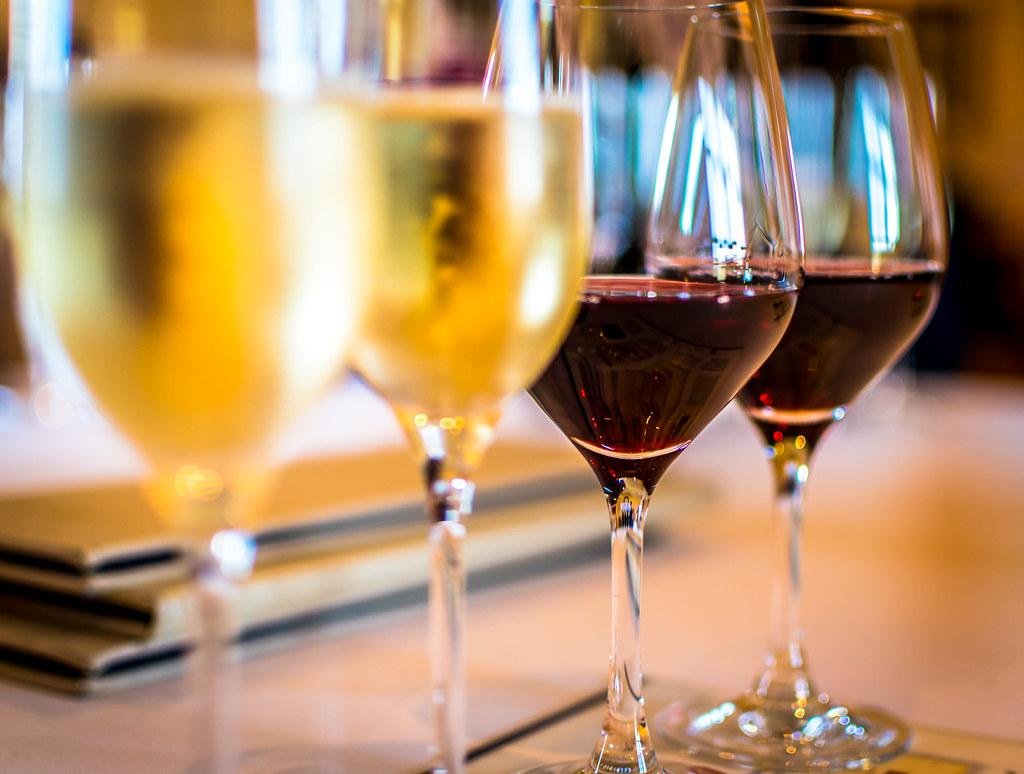 A Newbie’s Information to Wine Tasting: Unlocking the Nuances of Taste