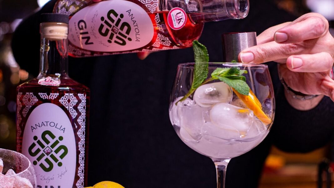 Gin Tonic Extravaganza: The way to Create the Good G&T